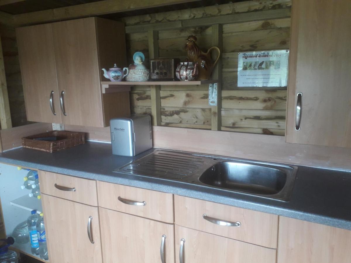 Ruby Shepherds Hut Sleeps 4 Rhayader Esterno foto