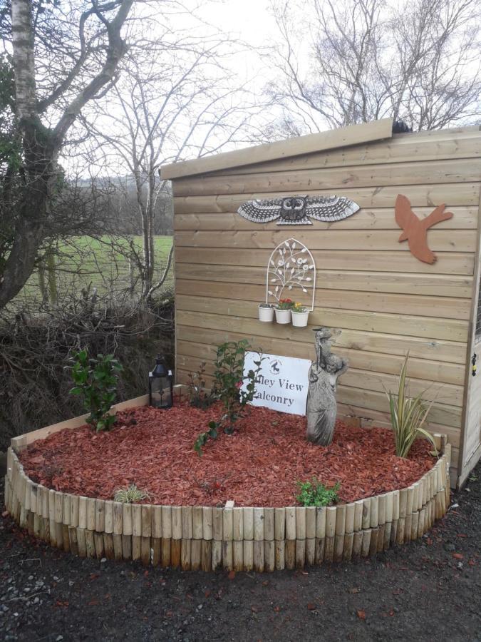 Ruby Shepherds Hut Sleeps 4 Rhayader Esterno foto